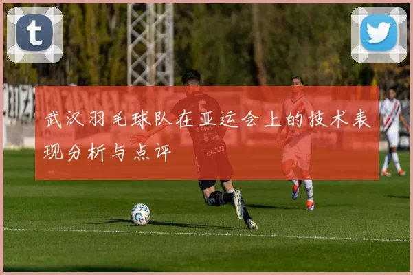 武汉羽毛球队在亚运会上的技术表现分析与点评